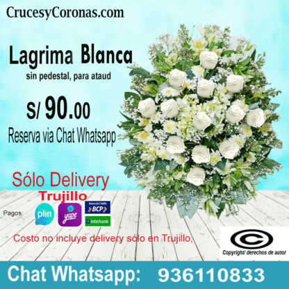 Lagrima Blanca